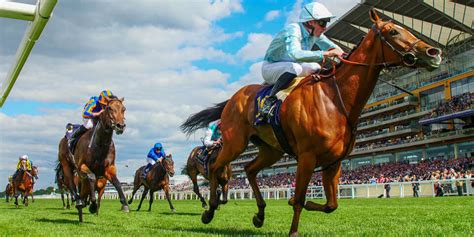bethkjc|hong kong racing today.